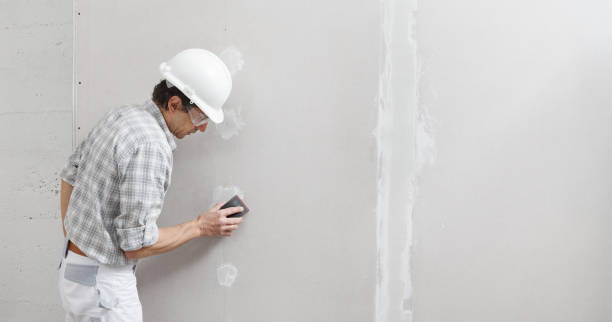 Best Environmental Consulting for Mold Prevention  in Ellwood City, PA